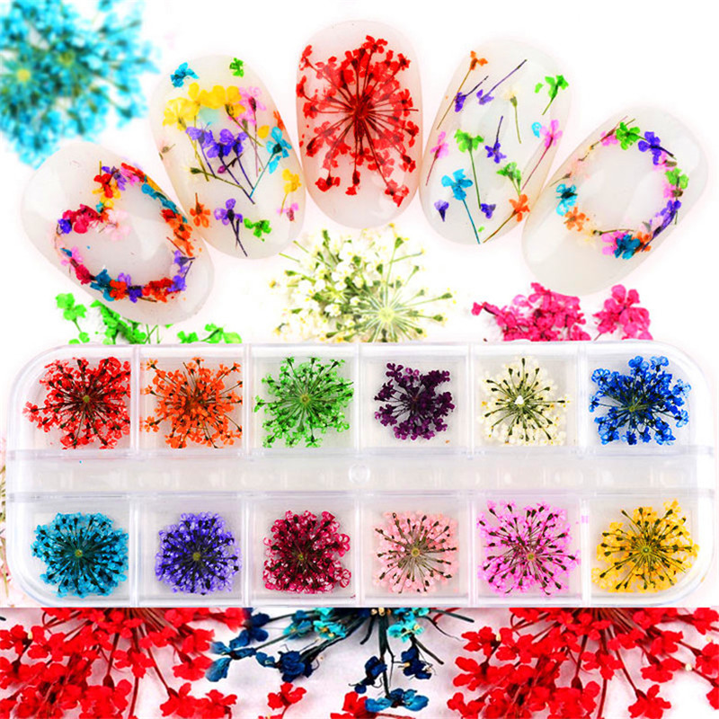 12 Colors 3D Nail Art Decorati - Beauty Real Makeup 评论和价格