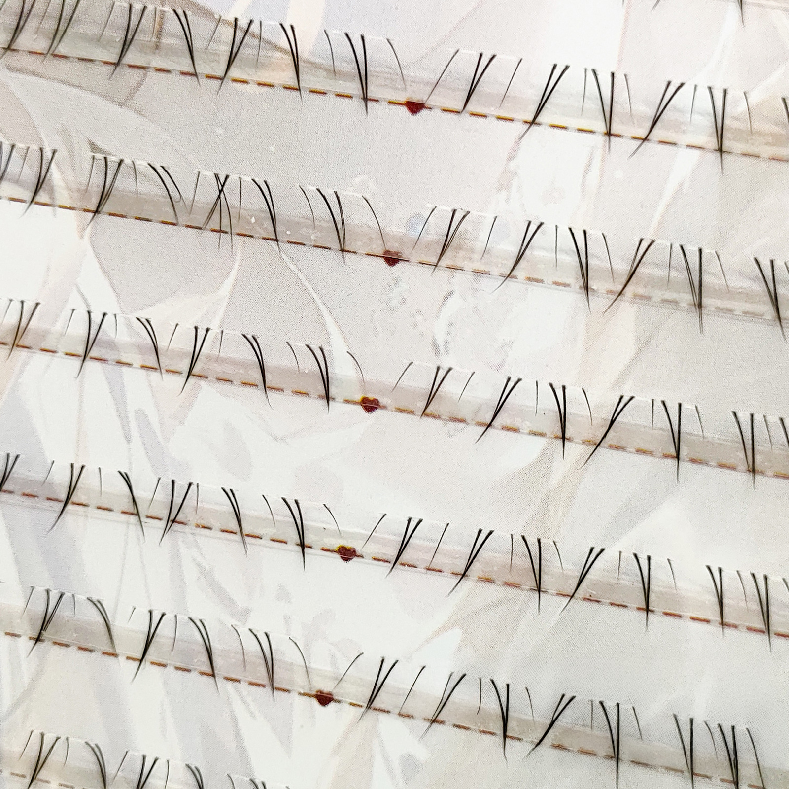Soft Manga Bottom Lower Eyelas - False Eyelashes Natural 评论和价格