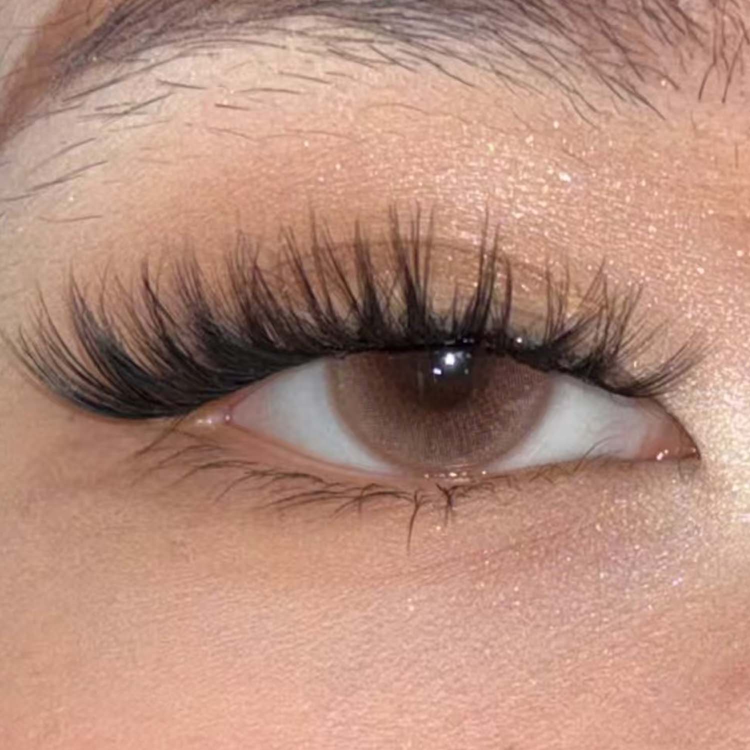 DIY Eyelash Clusters Fluffy Wi - Beauty Makeup Book 评论和价格
