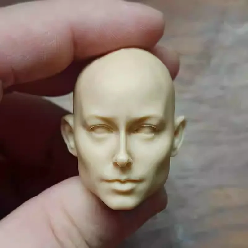 1/6 Scale Unpainted European B - Beauty Real Makeup 评论和价格